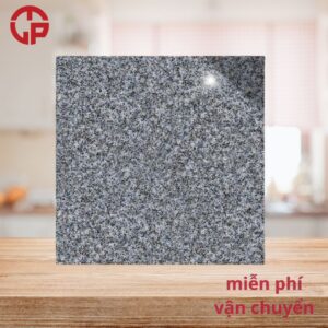 112k-Gach-gia-da-hoa-cuong-mau-den-60x60-Y-My-F5005