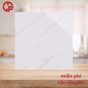 112k-Mau-gach-lat-nen-dep-nhat-hien-nay-60x60-Y-My-EY6034