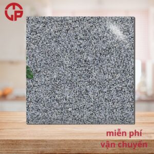 112k-gach-lat-cau-thang-60x60-Y-My-Y6022