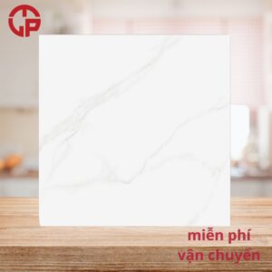 112k-gach-lat-nen-mau-trang-van-may-60x60-Y-My-C634R