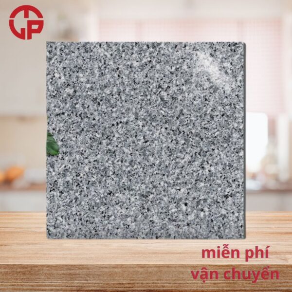 112k-nhung-mau-gach-lat-nen-dep-nhat-60x60-Y-My-G618