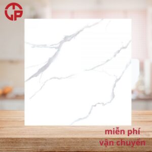 115k-Gach-lat-nen-phong-khach-cao-cap-60x60-CTL-62082