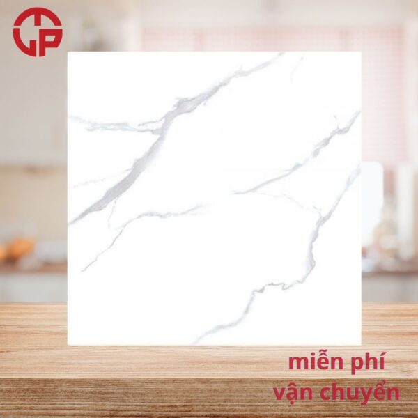 115k-Gach-lat-nen-phong-khach-cao-cap-60x60-CTL-62082