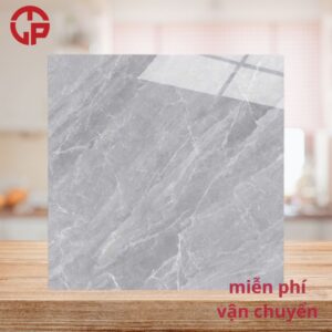 115k-Gach-lat-nen-phong-khach-dep-60x60-CTL-61038